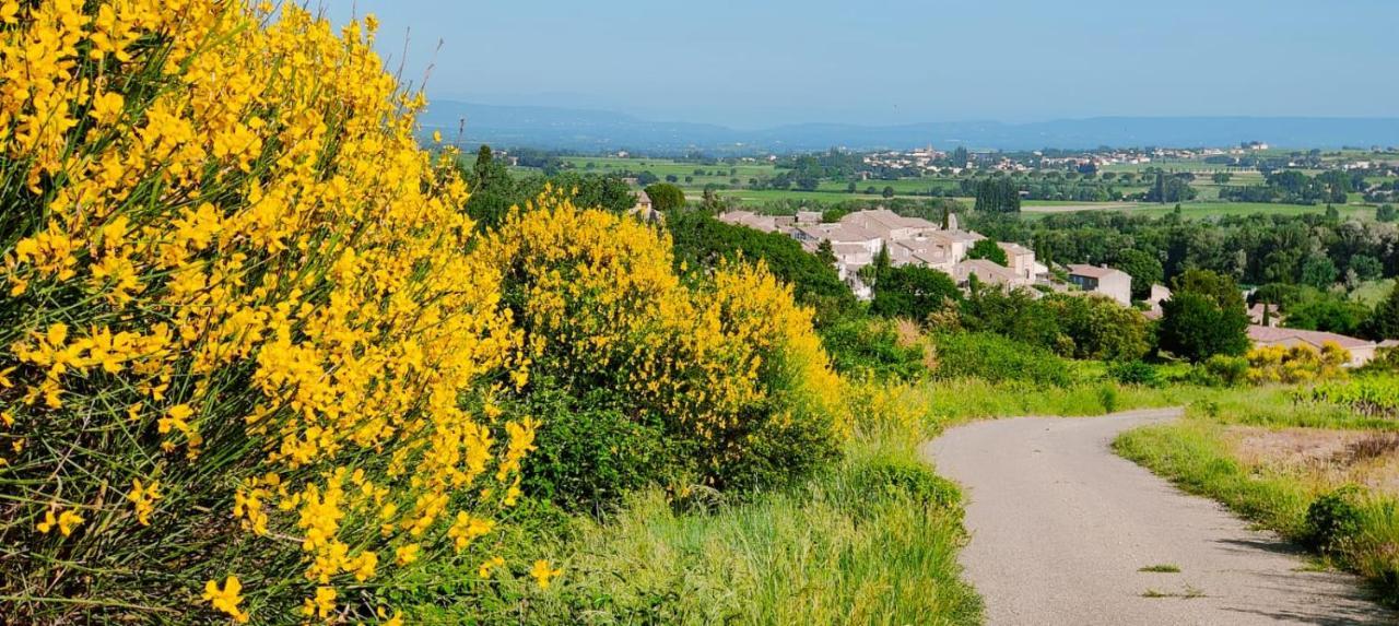 Maison De Village En Provence Avec Terrasse De 33M2 Saint-Roman-de-Malegarde Kültér fotó